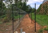 Chicken house and fencing